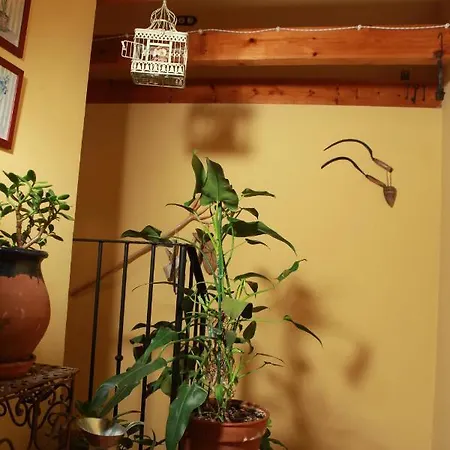 Casa Rural Rosa * Cabanes (Valencia)